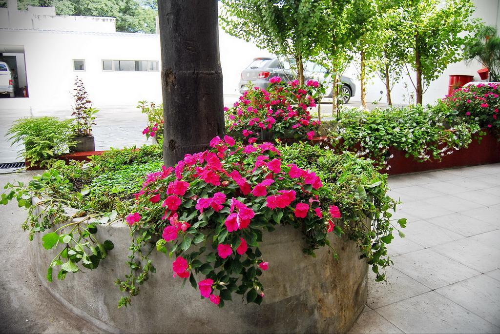 Tramas Andinas Apart otel Salta Dış mekan fotoğraf